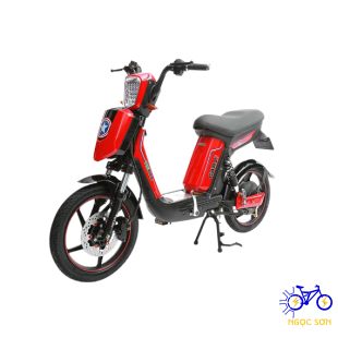 XE ĐẠP ĐIỆN PEGA