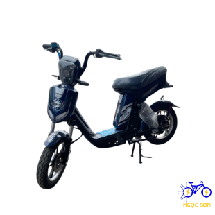XE ĐẠP ĐIỆN REVAN