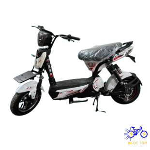 XE ĐIỆN EBIKE